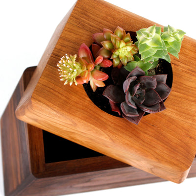 The Living Urn Planter™ - Messenger