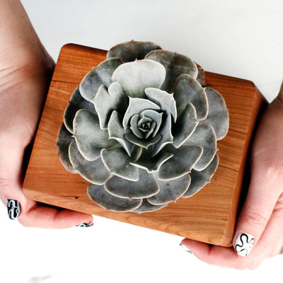 The Living Urn Planter - Teraloom