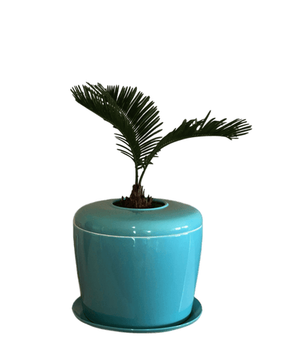 The Living Urn Indoors / Patio - Eternal Peace