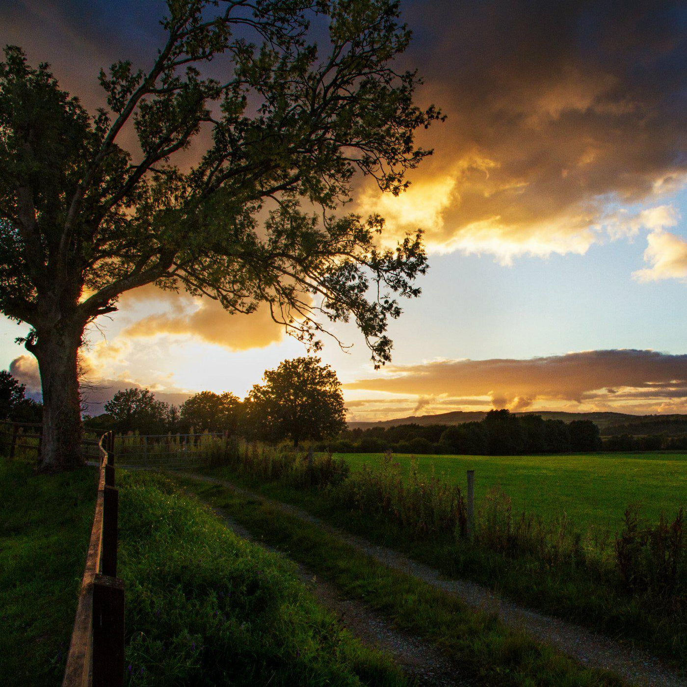 The Irish Living Urn - Akers James