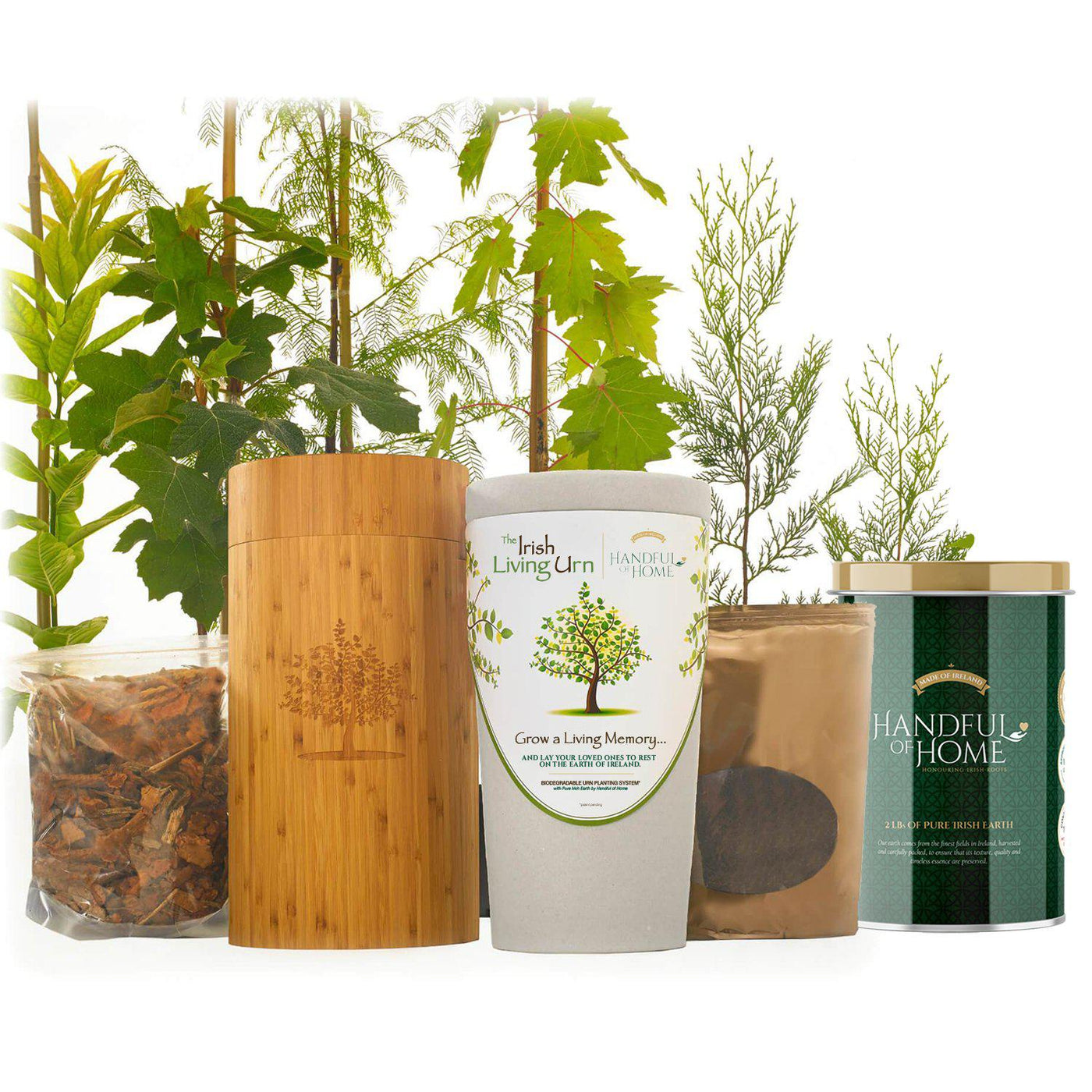 The Irish Living Urn - Bunker