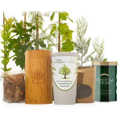 The Irish Living Urn